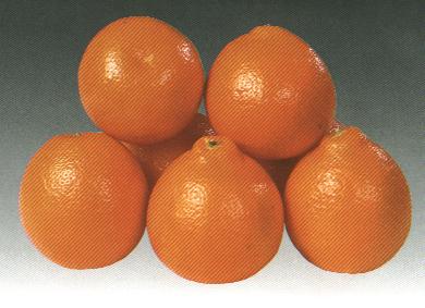 minneola.......